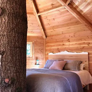 Cabanes Als Arbres Camping